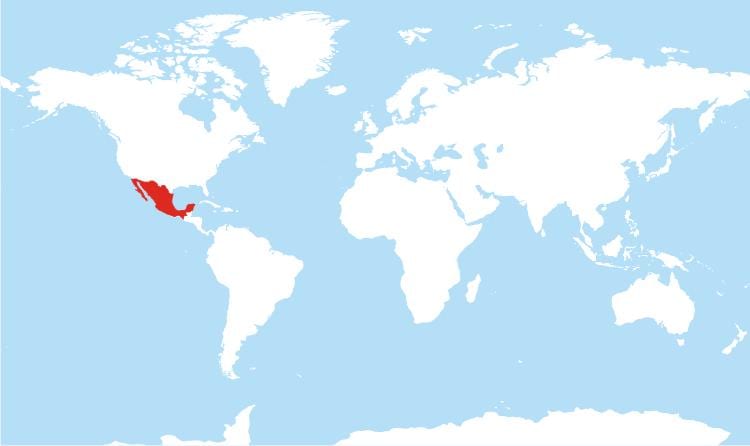 peta dari Meksiko global